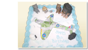 Hpayy 8th birthday - plane cake